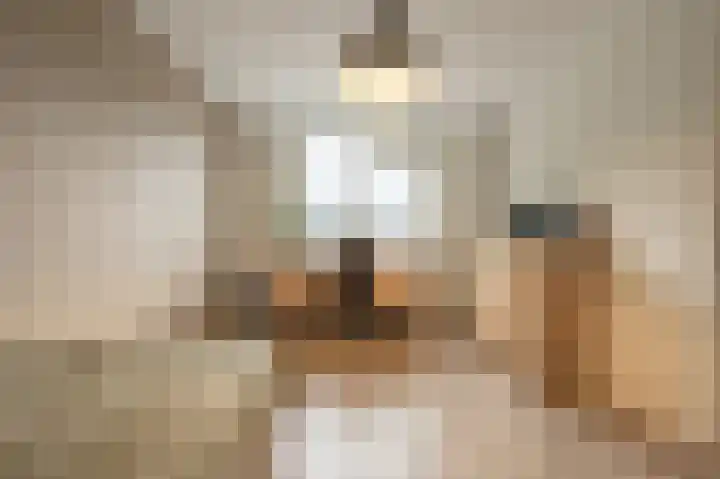 Spuivelden 9 Heinenoord thumbnail 16