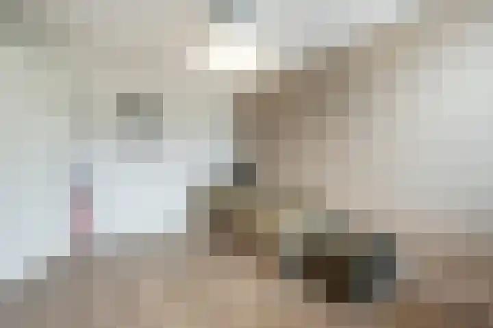 Spuivelden 9 Heinenoord thumbnail 17