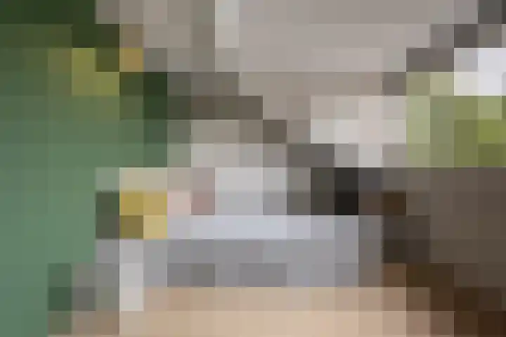 Spuivelden 9 Heinenoord thumbnail 23