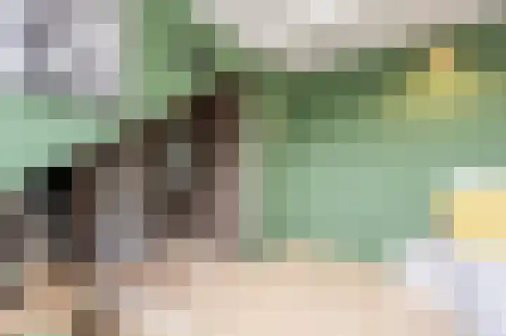 Spuivelden 9 Heinenoord thumbnail 24