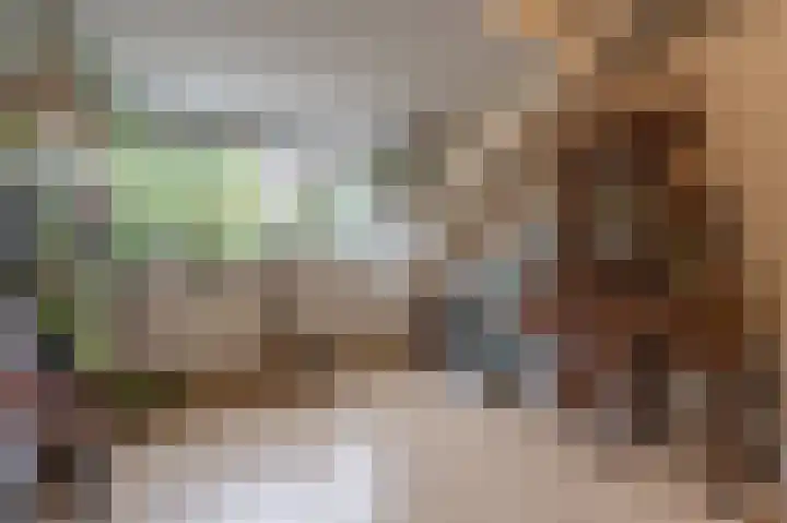 Spuivelden 9 Heinenoord thumbnail 26