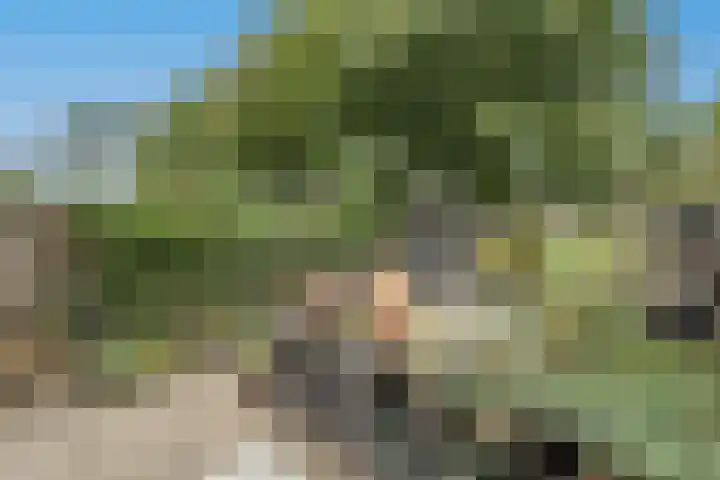 Spuivelden 9 Heinenoord thumbnail 28