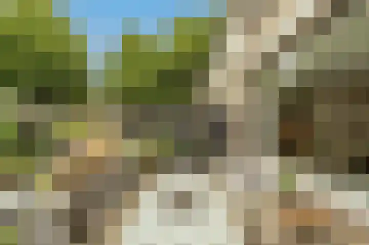 Spuivelden 9 Heinenoord thumbnail 29