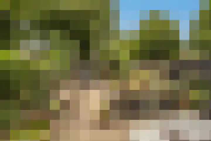 Spuivelden 9 Heinenoord thumbnail 30
