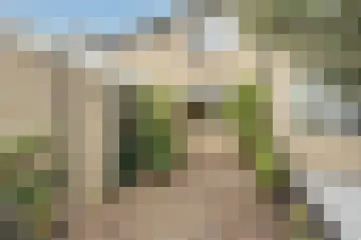 Spuivelden 9 Heinenoord thumbnail 31