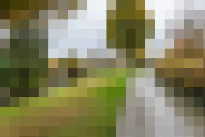 Spuivelden 9 Heinenoord thumbnail 32