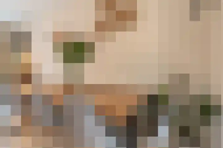 Spuivelden 9 Heinenoord thumbnail 5