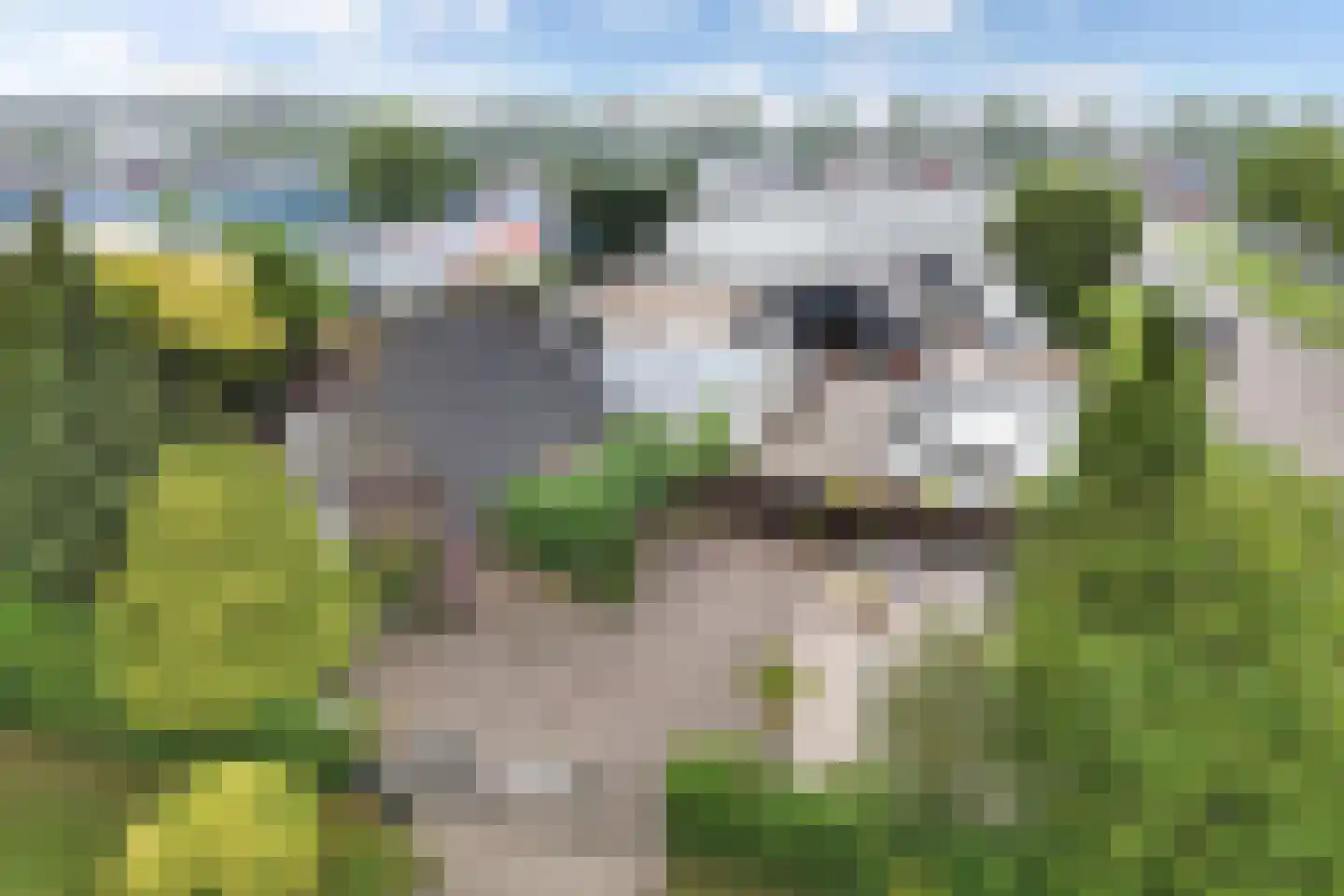 Spuiweg 2 Lelystad thumbnail 5