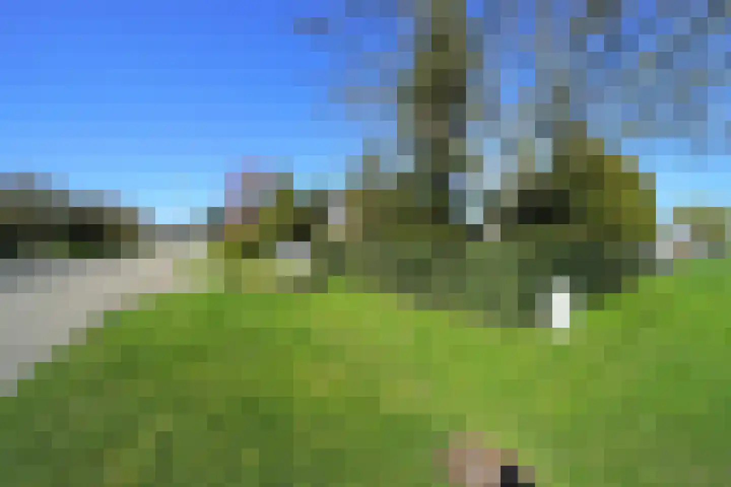 Spuiweg 2 Lelystad thumbnail 71