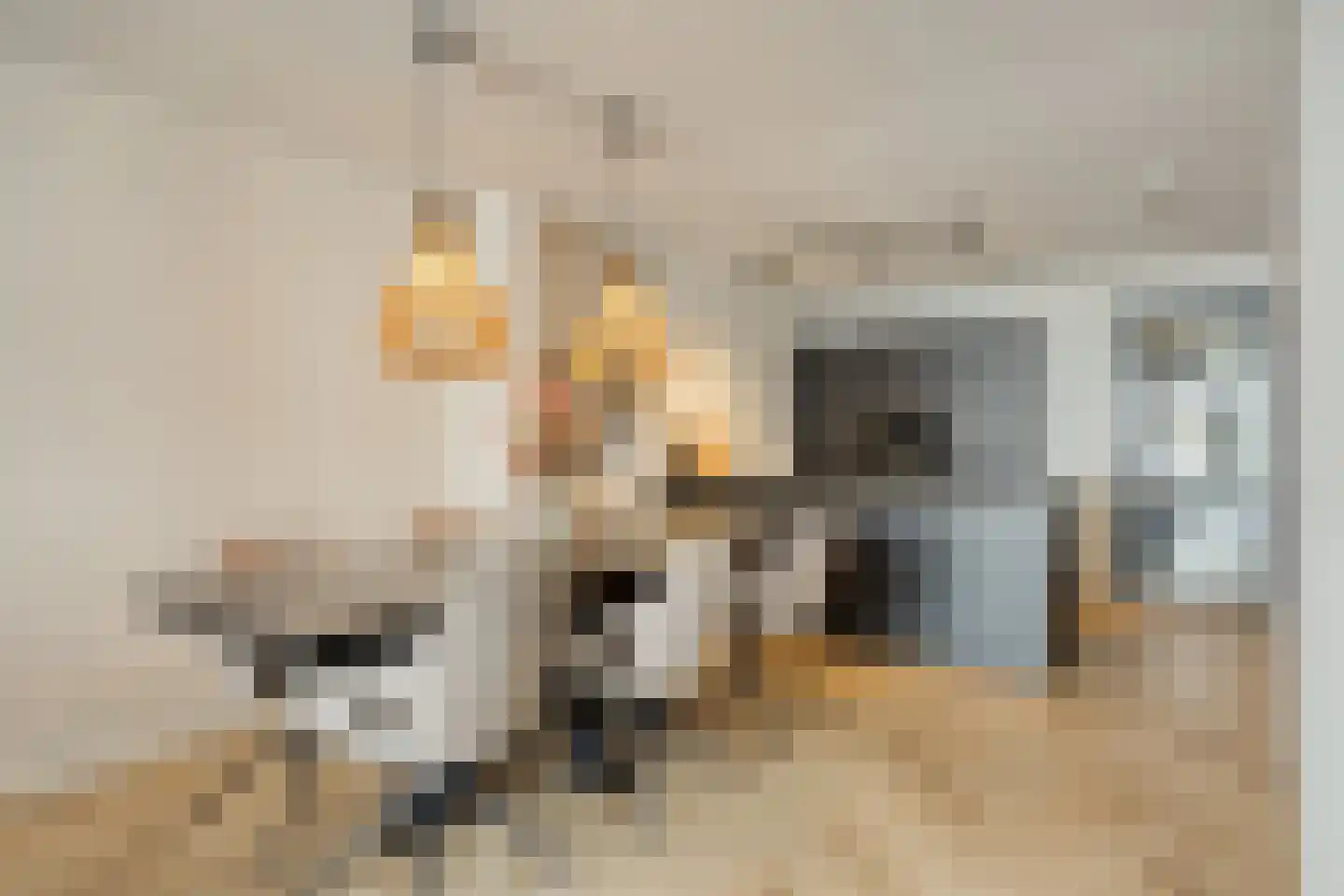 Spuiweg 21 D in Dordrecht