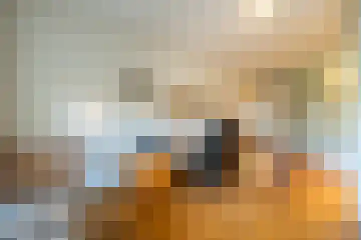 Spuizicht 14 Oud-Beijerland thumbnail 27