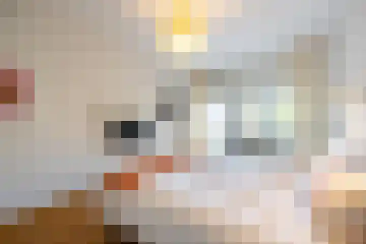 Spuizicht 14 Oud-Beijerland thumbnail 30