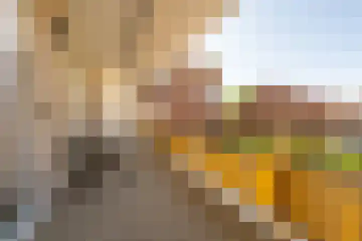 Spuizicht 14 Oud-Beijerland thumbnail 32