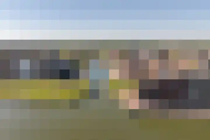 Spuizicht 14 Oud-Beijerland thumbnail 35
