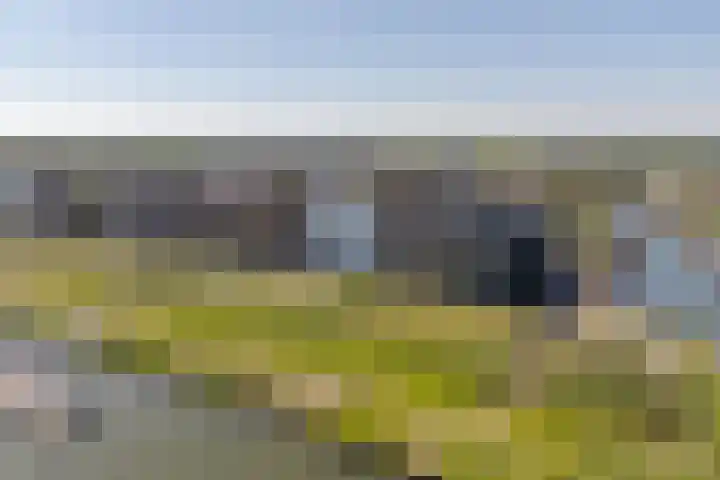 Spuizicht 14 Oud-Beijerland thumbnail 36