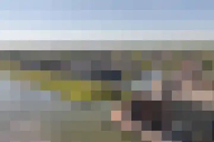 Spuizicht 14 Oud-Beijerland thumbnail 38
