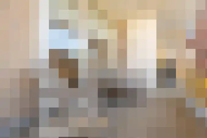 Spuizicht 14 Oud-Beijerland thumbnail 4