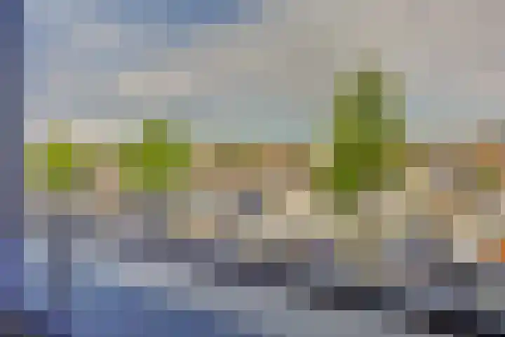 Spuizicht 2 Oud-Beijerland thumbnail 13