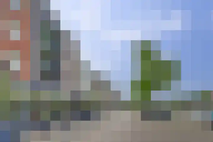 Spuizicht 2 Oud-Beijerland thumbnail 31