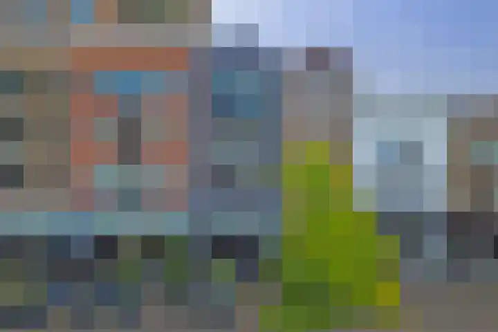 Spuizicht 2 Oud-Beijerland thumbnail 33