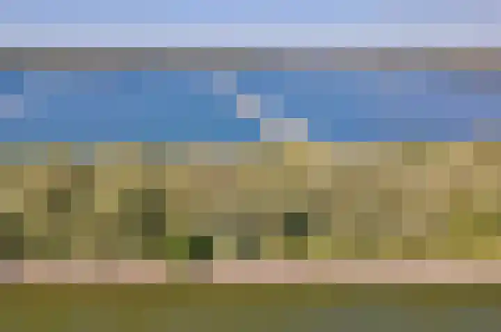 Spuizicht 2 Oud-Beijerland thumbnail 35
