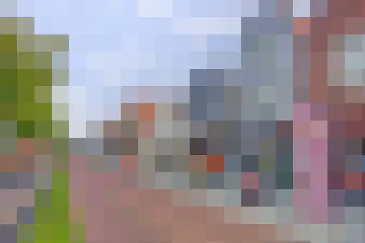 Spuizicht 2 Oud-Beijerland thumbnail 45