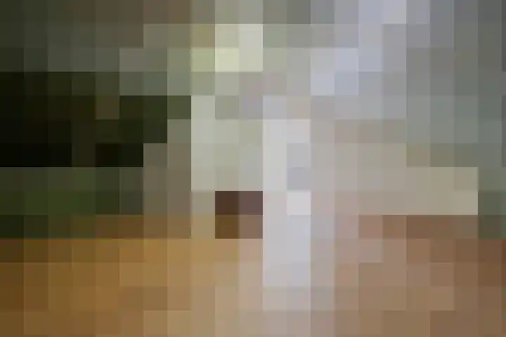 Spûkefeartstrjitte 12 Wergea thumbnail 49
