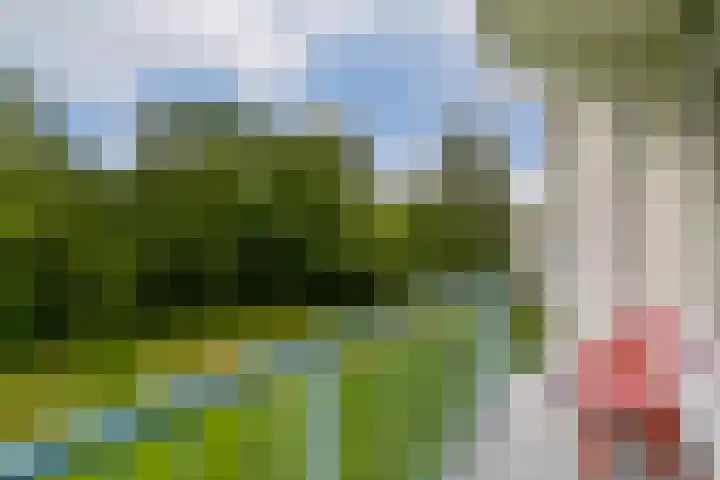 Spurgeonlaan 102 Amstelveen thumbnail 16