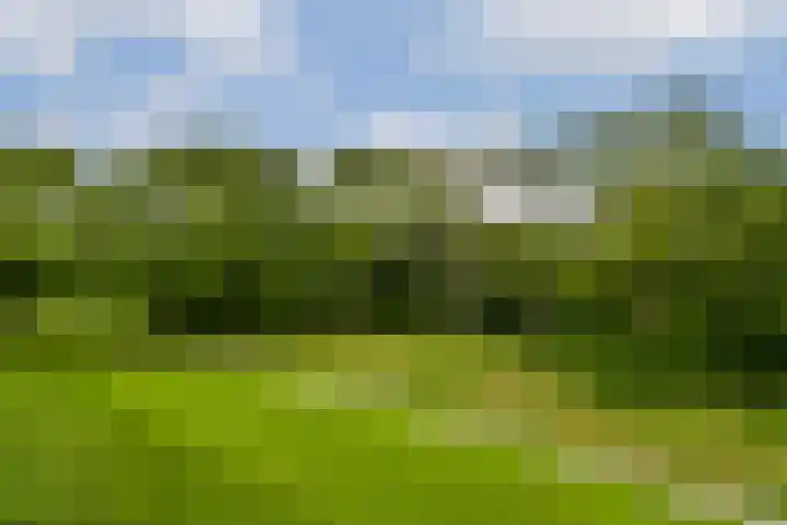Spurgeonlaan 102 Amstelveen thumbnail 17