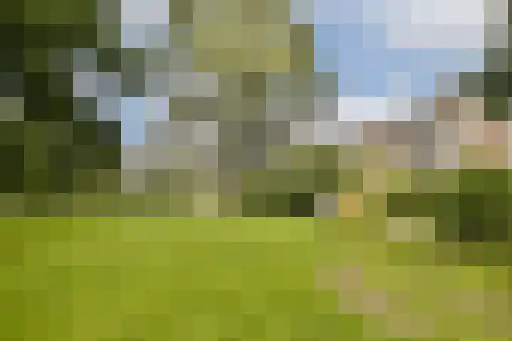 Spurgeonlaan 102 Amstelveen thumbnail 23