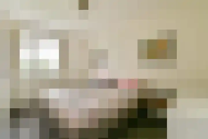 Spurgeonlaan 102 Amstelveen thumbnail 8