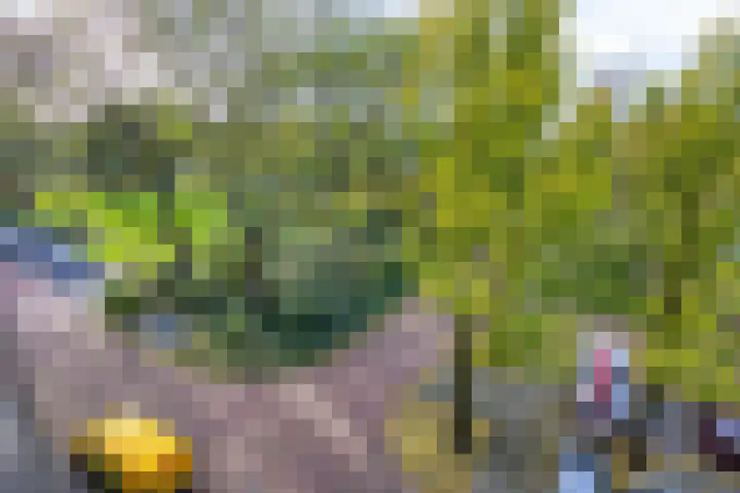 Spurgeonlaan 120 Amstelveen thumbnail 32