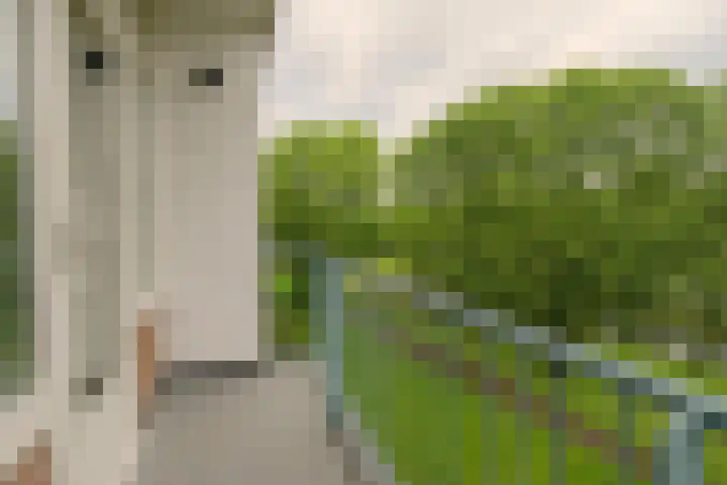 Spurgeonlaan 136 Amstelveen thumbnail 19
