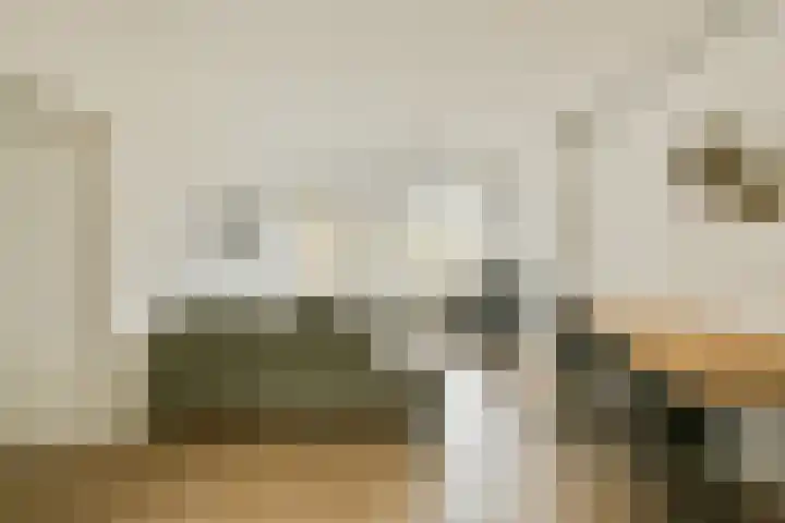 Spurgeonlaan 2 Amstelveen thumbnail 13