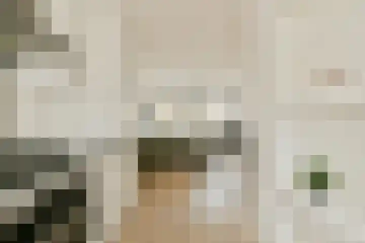 Spurgeonlaan 2 Amstelveen thumbnail 20