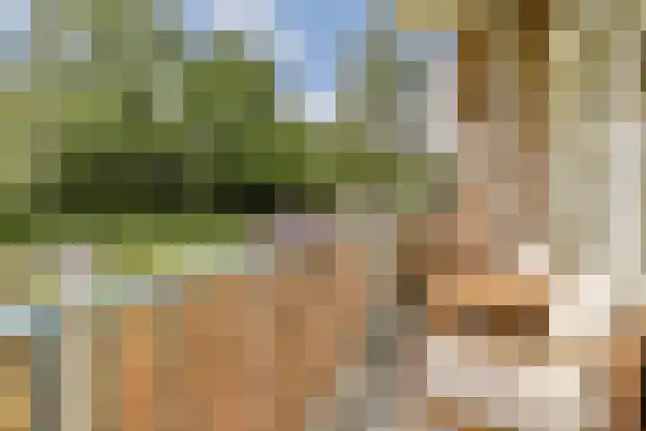 Spurgeonlaan 26 Amstelveen thumbnail 8