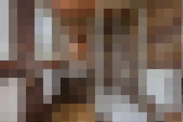 Spurkstraat 51 A Den Dungen thumbnail 22