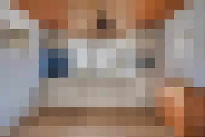 Spurkstraat 51 A Den Dungen thumbnail 8