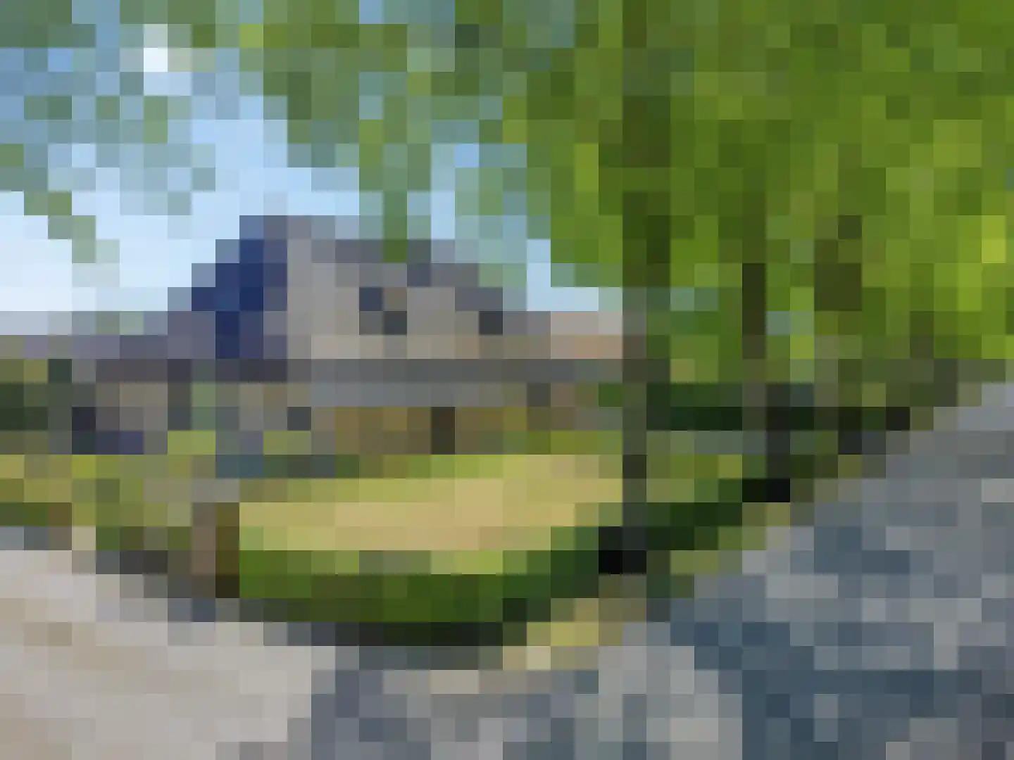Spurkstraat 64 B Den Dungen thumbnail 41