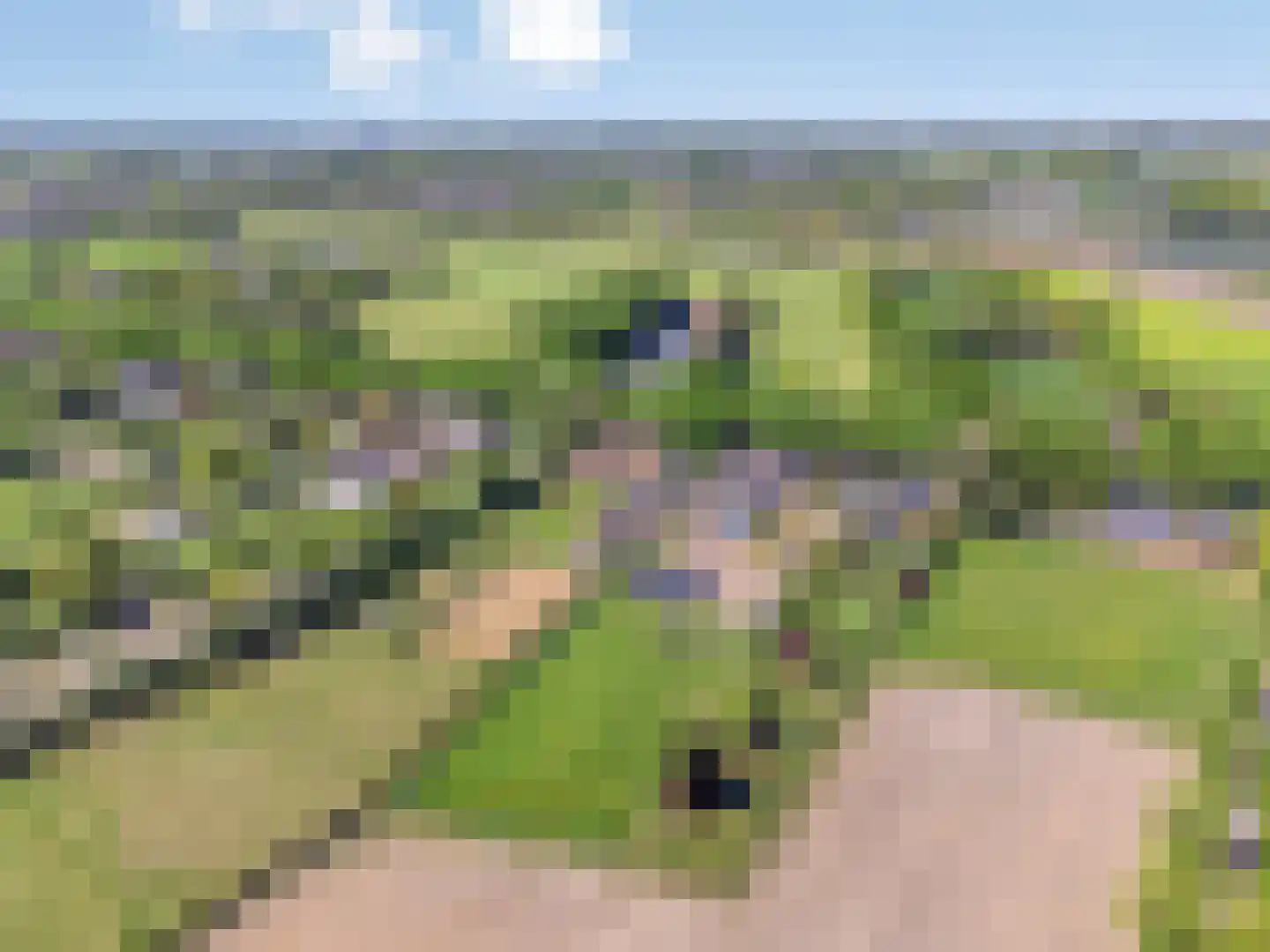Spurkstraat 64 B Den Dungen thumbnail 56