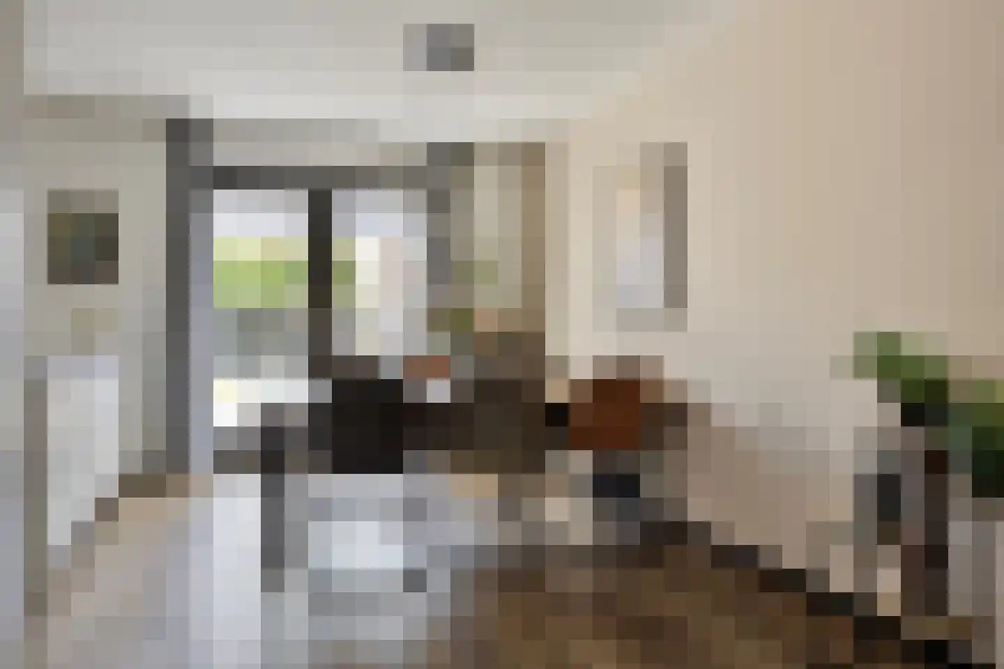 Spurrie 13 Beilen thumbnail 13
