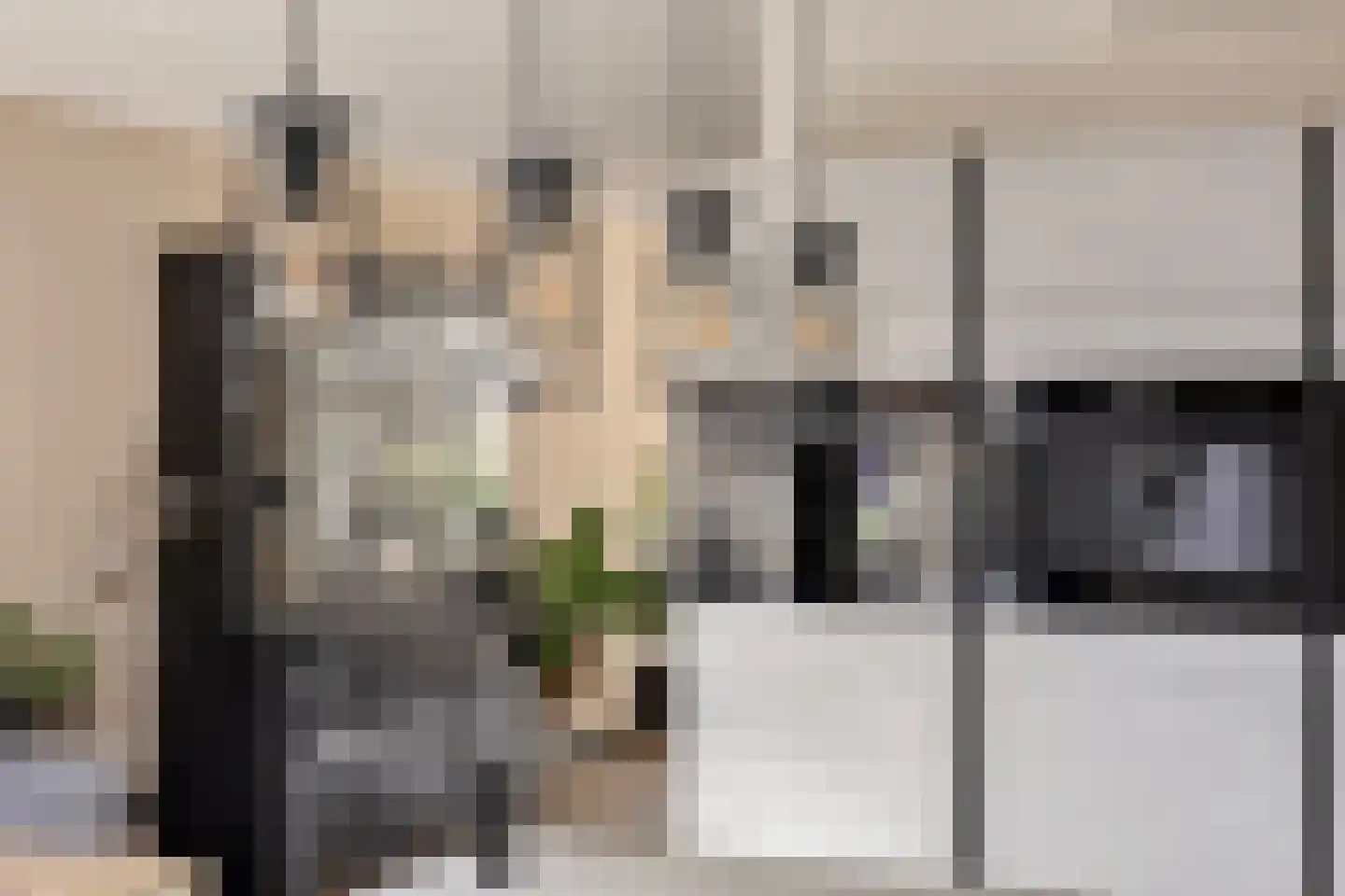 Spurrie 13 Beilen thumbnail 19