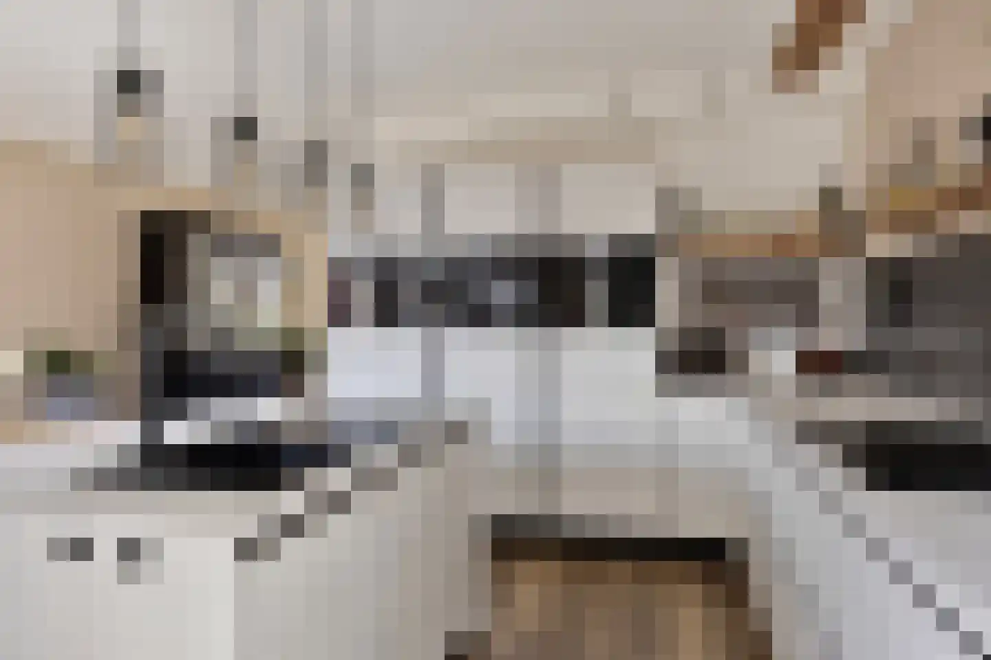 Spurrie 13 Beilen thumbnail 20
