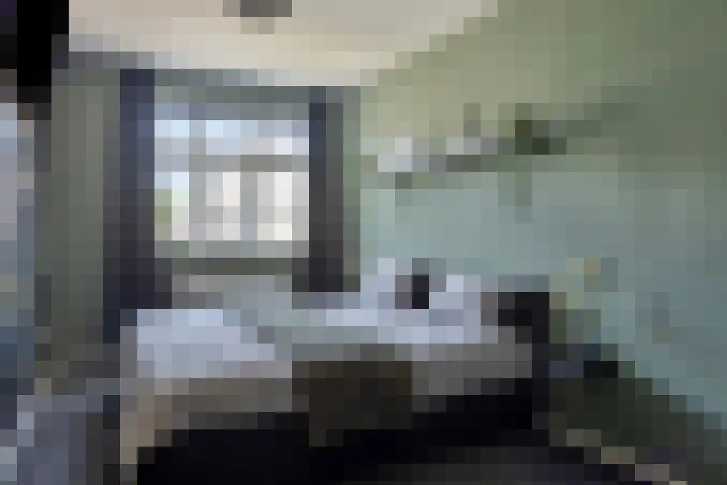 Spurrie 13 Beilen thumbnail 28