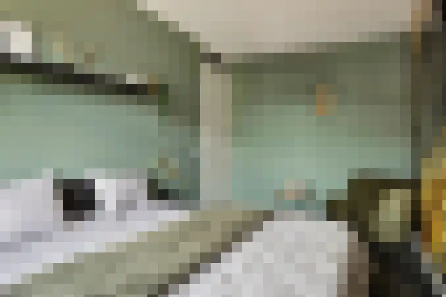 Spurrie 13 Beilen thumbnail 29