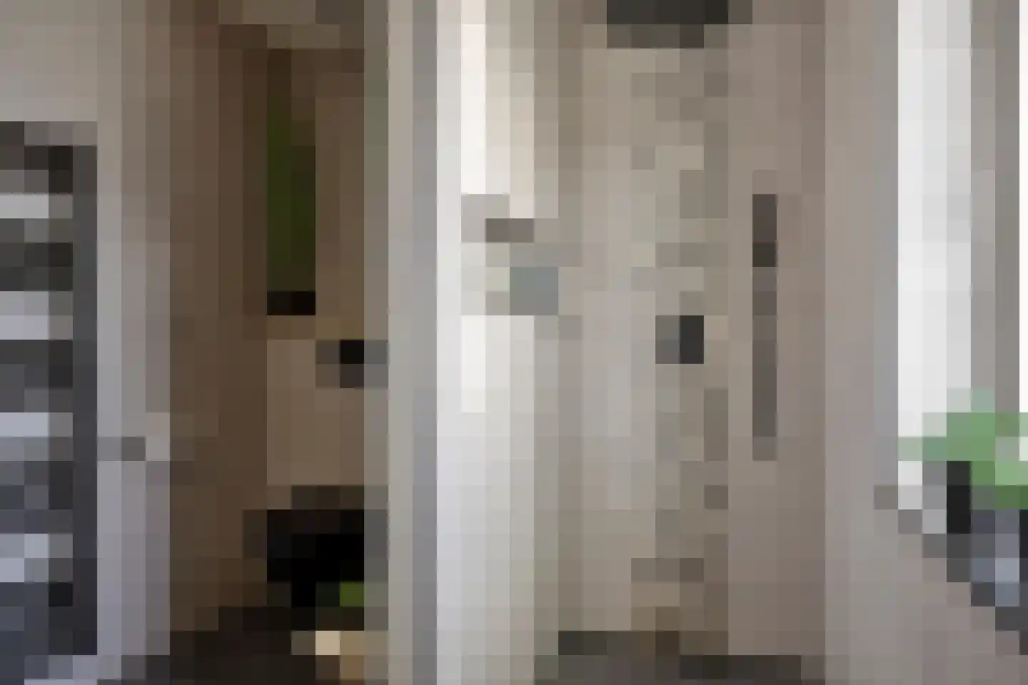 Spurrie 13 Beilen thumbnail 31