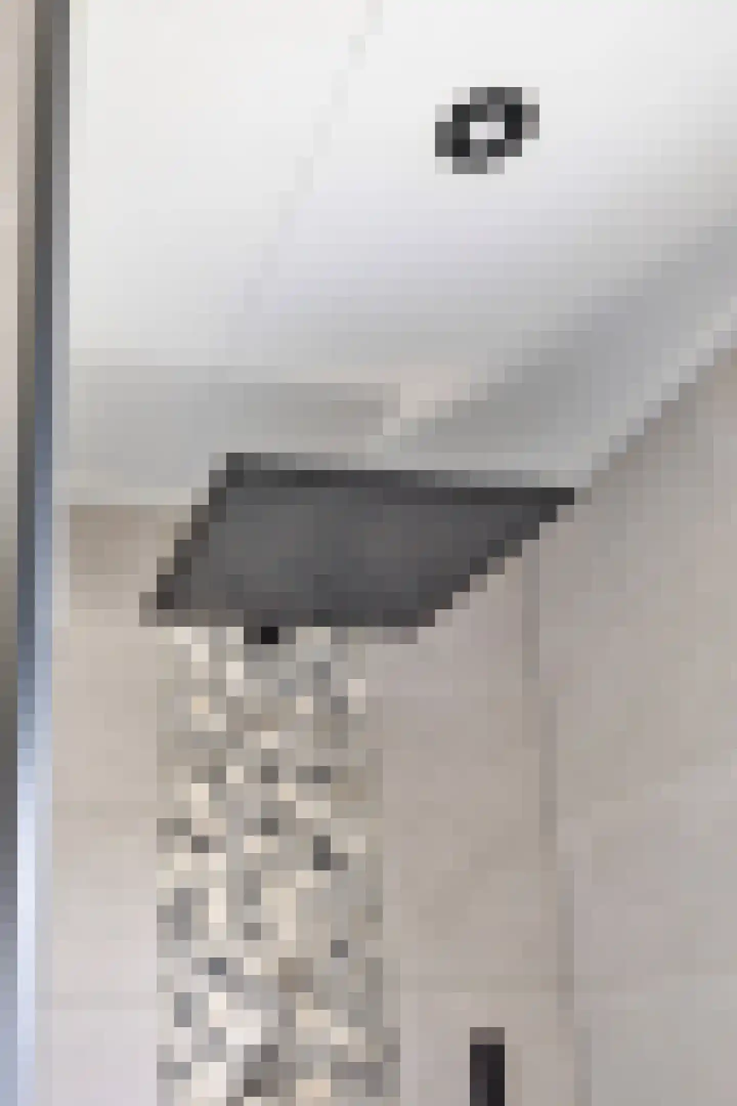Spurrie 13 Beilen thumbnail 33