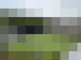 Spurrie 13 Beilen thumbnail 46