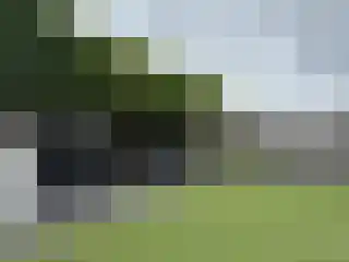 Spurrie 13 Beilen thumbnail 47