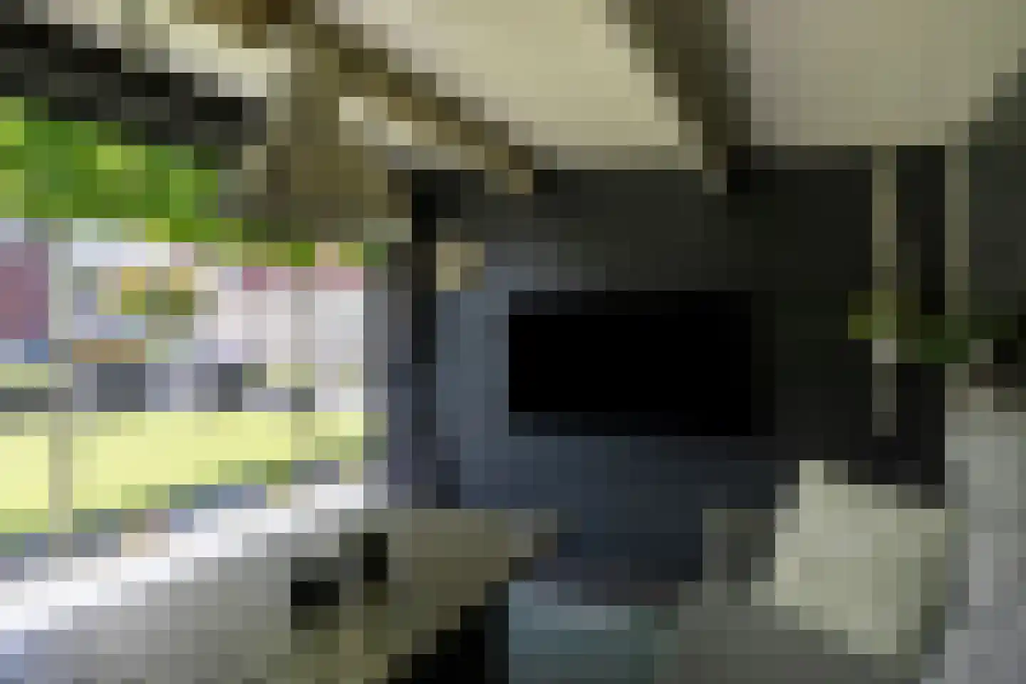 Spurrie 13 Beilen thumbnail 49